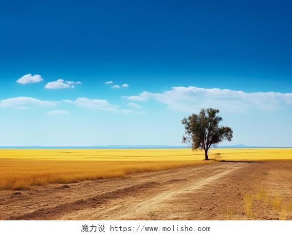 蓝天黄土地一棵树天空蓝色天空背景自然风景壁纸清新电脑壁纸